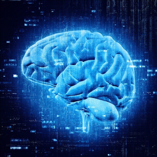 Exploring the intersection of AI and neuroscience