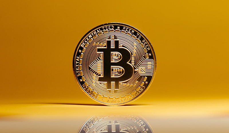 The Lost Bitcoin Fortune