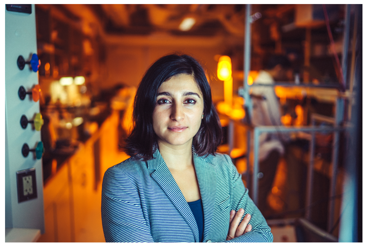 Researcher studying the mechanics of rain on leaves