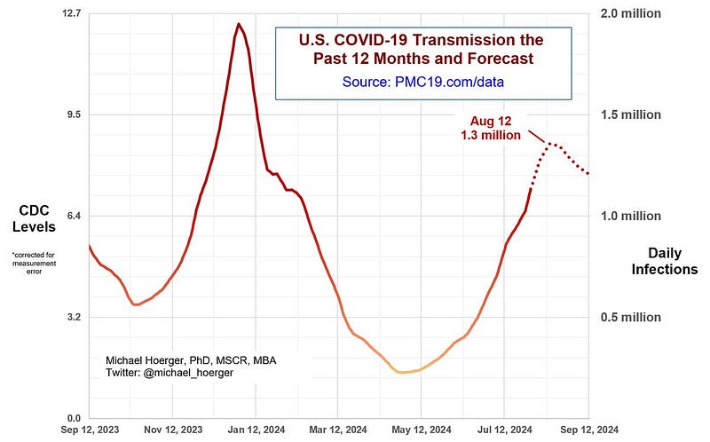 Graph of US COVID-19 cases over the past year