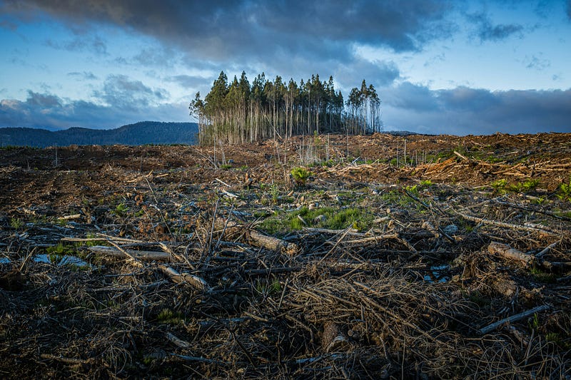 Engaging with nature for climate awareness