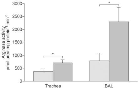 Understanding the Role of Nitric Oxide in Asthma