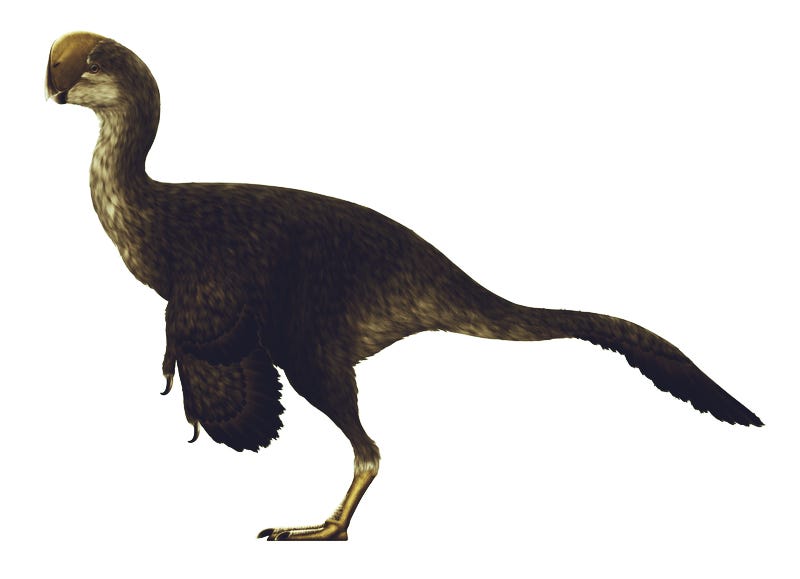 Life restoration of Oviraptor from Djadokhta Formation