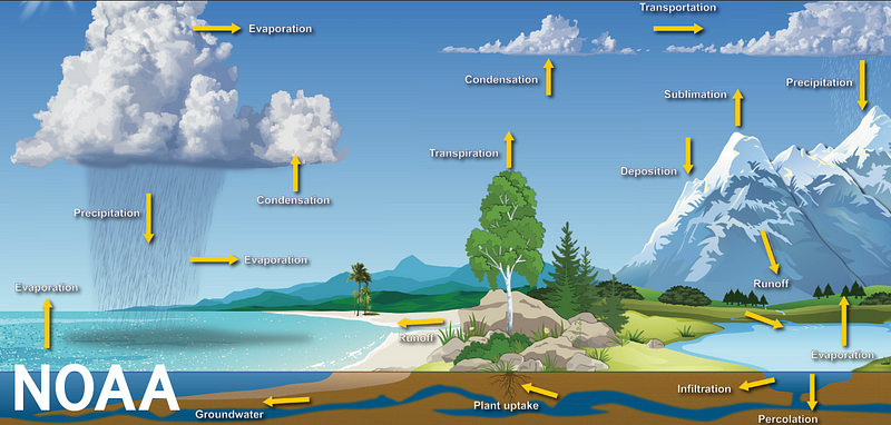 The interconnection of Earth's ecosystems and life