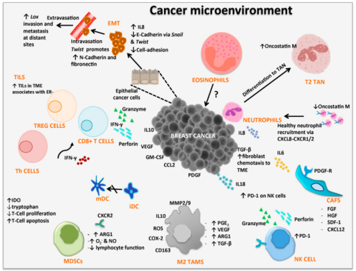 Cancer cells altering their environment