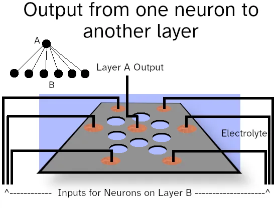 Illustrative example showing interaction pathways in networks