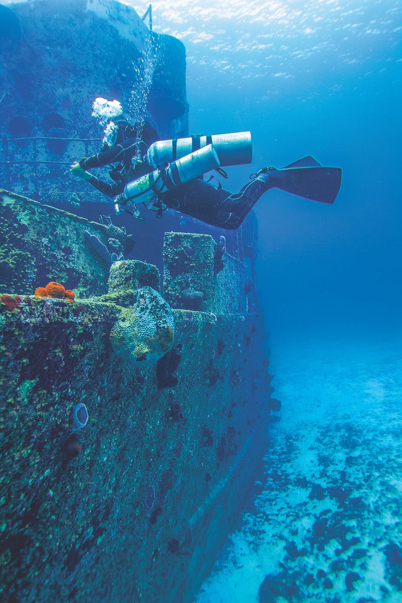 A sunken WWII ship affecting marine life