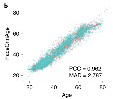 Example of AI-generated age prediction from facial images