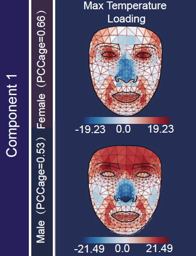 Changes in facial temperature distribution with age