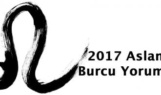 2017 aslan burcu yorumu