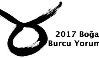 2017 boğa burcu yorumu