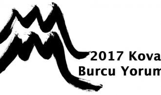 2017 kova burcu yorumu