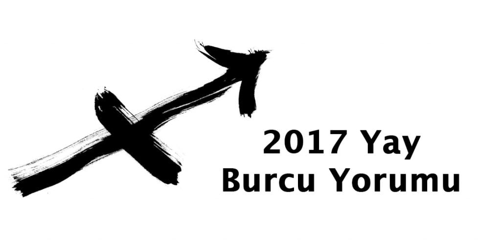 2017 yay burcu yorumu