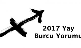 2017 yay burcu yorumu