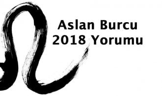 2018 aslan burcu yorumu