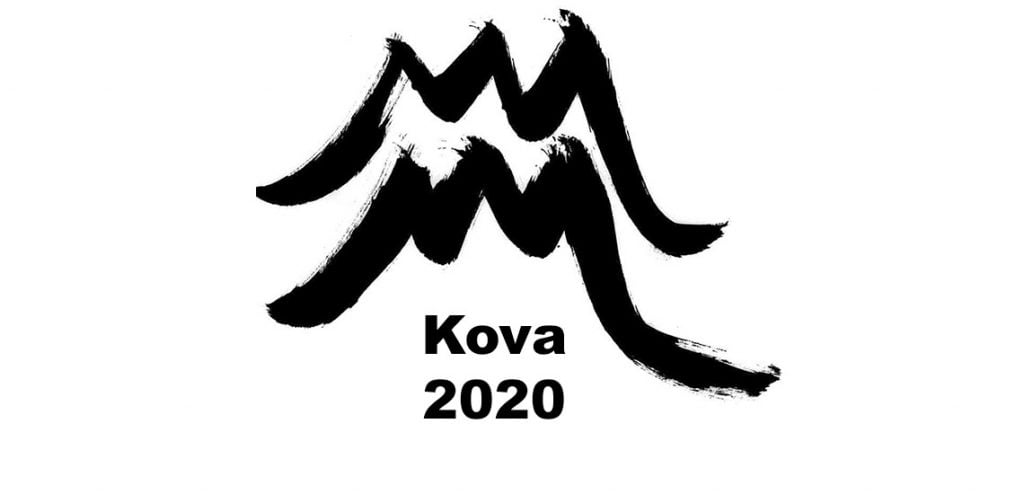 2020 kova burcu yorumu